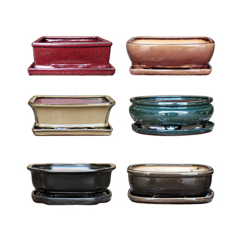10in Cactus & Bonsai Pot+Sauc 10in Cactus & Bonsai Pot+Sauc