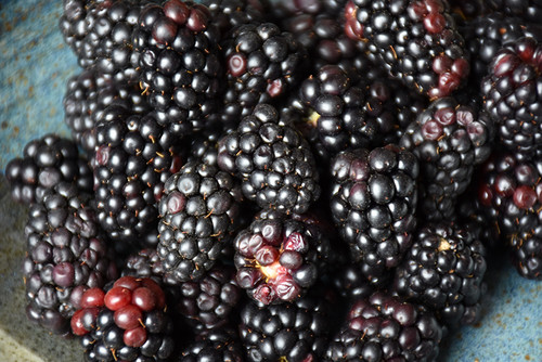 Blackberry 'Apache' 1G