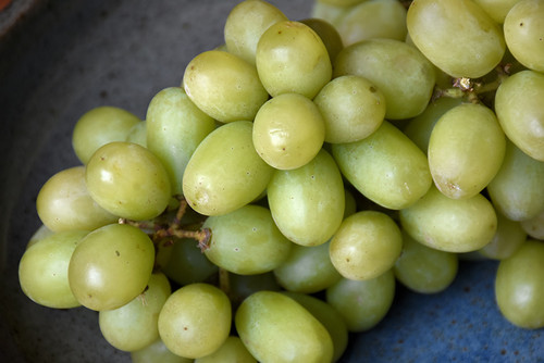 Grapes 'Thompson Seedless' 1G