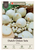 Onion Sets 'Snowball' 75ct