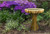 Driftwood Birdbath RH