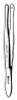 Endocervical Biopsy Curette Sklar Solid Rectangular Handle 1 Inch Sharp Fenestrated Rectangular Tip w/Basket 90-6612 Each/1