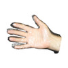 Food Service Glove Prime Source Large Polyethylene Clear Sterile 750071495