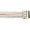 Gait Belt SkiL-Care 60 Inch Length Pinstripe Cotton 252010 Each/1