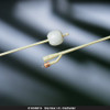 Foley Catheter Bardex I.C. 2-Way Standard Tip 5 cc Balloon 12 Fr. Silver Hydrogel Coated Latex 0165SI12