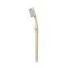 Toothbrush McKesson Ivory Adult Medium 16-TB39