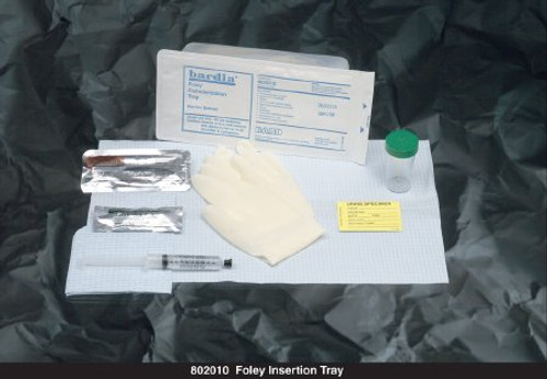 Catheter Insertion Tray Bardia Foley Without Catheter Without Balloon Without Catheter 802031 Case/20