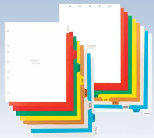 Anatomical Chart Ligaments and Joints 929418 Each/1