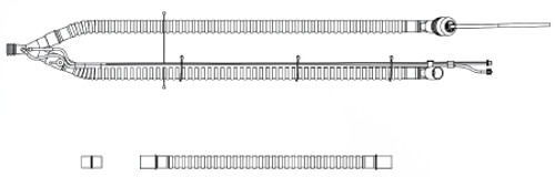 Tracheostomy Tube Kit Bivona Fome-Cuf Standard Size 5 Cuffed 850150 Each/1