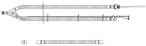 CIRCUIT PT W/PEEP 22MM 10/BX VYAIRE 15091-101 Box/10