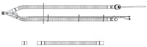 CIRCUIT PT W/PEEP 22MM 10/BX VYAIRE 15091-101 Each/1