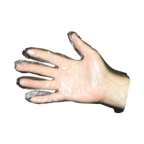 Food Service Glove Prime Source Large Polyethylene Clear Sterile 750071495