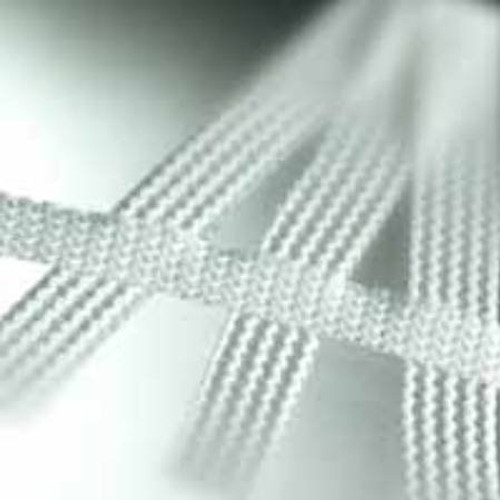Skin Closure Strip Leukostrip 1/2 X 4 Inch Nonwoven Material Flexible Strip White 66002880
