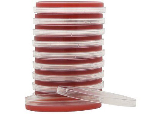 Prepared Media Tryptic Soy Agar TSA with 5% Sheep Blood Red Petri Plate Format A10 Box/10