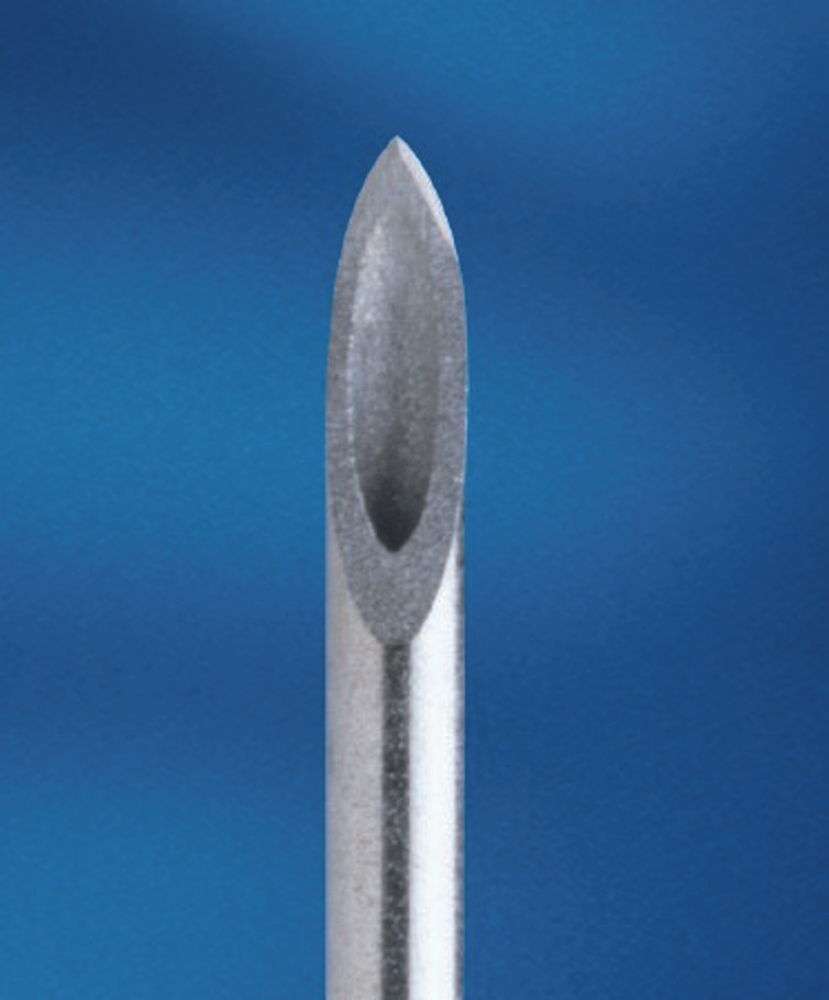 Spinal Needle BD Quincke 20 Gauge 2-1/2 Inch Standard Length 405071 Case/100