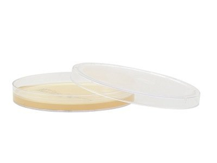 Prepared Media Tryptic Soy Agar TSA with Lecithin and Tween 80 Mono-Plate Format G41