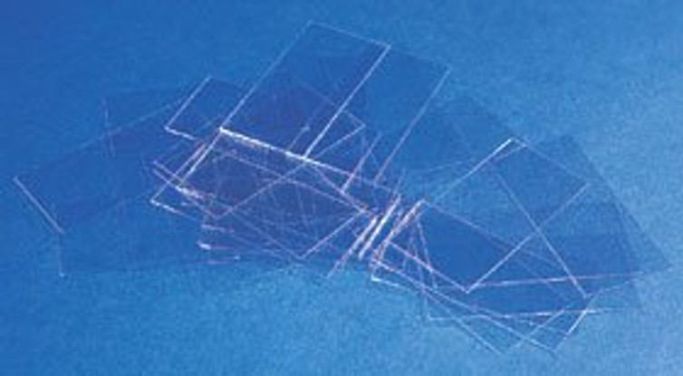 Cover Glass Rectangle No. 1.5 Thickness 24 X 50 mm 24X50-1.5-001G Box/10