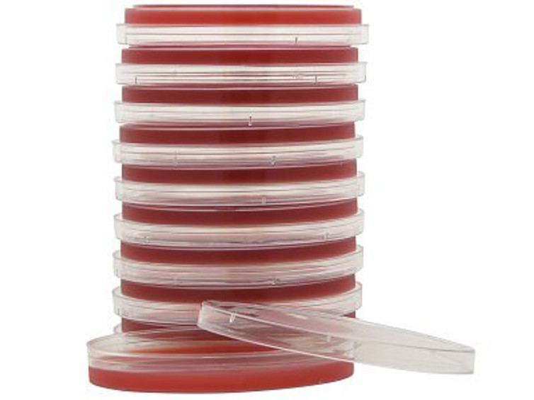 Prepared Media Tryptic Soy Agar TSA with 5% Sheep Blood Red Petri Plate Format A10 Box/10