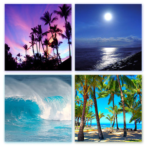Maui Print Set of Four - tropical paradise collection of photographic prints, showcasing Maui's breathtaking beauty through a vibrant sunset, a mystical full moon, a powerful wave at a famous surf break, and a serene beach scene. Maui Print Set of Four - tropical paradise collection of photographic prints, showcasing Maui's breathtaking beauty through a vibrant sunset, a mystical full moon, a powerful wave at a famous surf break, and a serene beach scene.
