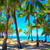 Tropical Island Day - Relaxing paradise Maui beach scene with swaying palm trees, traditional Hawaiian canoe on the sandy shore, and a calm, turquoise ocean in the background.