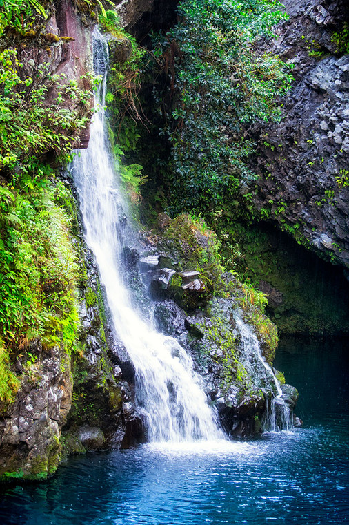 Tropical waterfall cascading down a lush green foliage covered rock cliff into a calm pool in Maui, Hawaii.