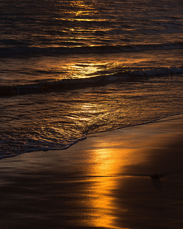 Golden Ocean Sands II - close-up photo of a beach wave under a sunset in Maui, showcasing rich gold and brown tones.