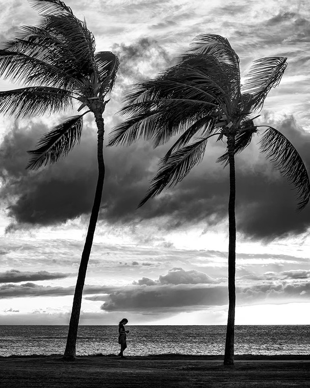 Young person walking beneath two towering palm trees in Maui, Hawaii with an expansive sky and a solitary dark cloud hovering above her.