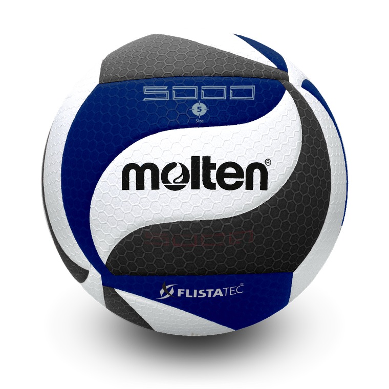Black/Blue FLISTATEC Volleyball