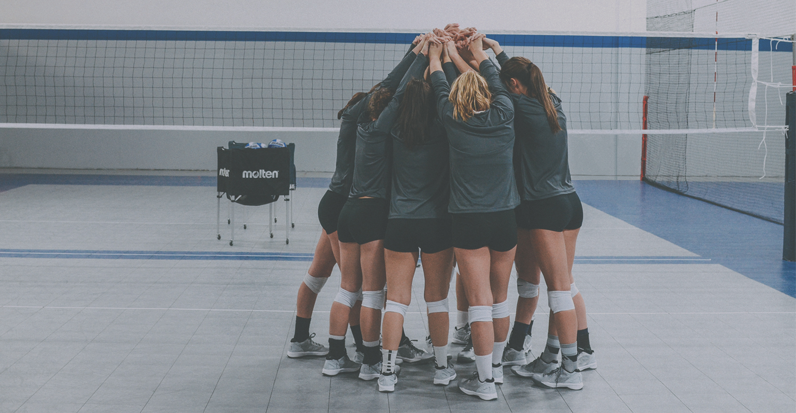 Official Volleyball - NCAA Men&#039;s &amp; Women&#039;s Championships - Molten USA