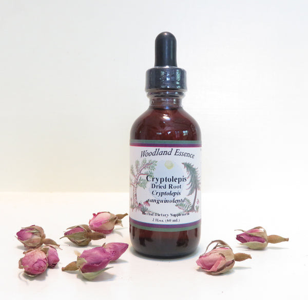 Cryptolepsis by Woodland Essence 4 oz (120 ml)