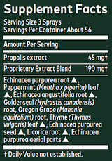 Echinacea Goldenseal Throat Spray 1 oz (30 ml)