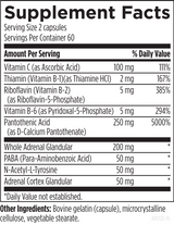 Adrenal Complex 120 capsules by Designs For Health