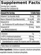 CraveArrest™ 120 capsules by Designs For Health