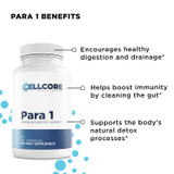 Intestinal Permeability Kit by CellCore Biosciences Detoxification Support, Gut Terrain Support*, Digestive Support*