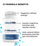 MYC Support Kit by CellCore Biosciences Gut Terrain Support*, Detoxification Support*, Drainage Support*