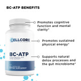 MYC Support Kit by CellCore Biosciences Gut Terrain Support*, Detoxification Support*, Drainage Support*