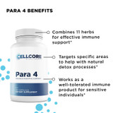 Stomach Support Kit by CellCore Biosciences Gut Terrain Support*, Detoxification Support*, Drainage Support*