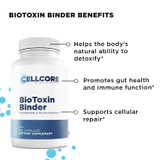 Stomach Support Kit by CellCore Biosciences Gut Terrain Support*, Detoxification Support*, Drainage Support*