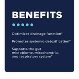 MYC Support Protocol by CellCore Biosciences Drainage Support*, Detoxification Support*, Mitochondrial Support*