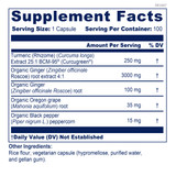 CurcuSyn - 100 Vegetarian Capsules By BioPure