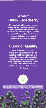 Sambucus Traditional Immune Elderberry Syrup - 4 fl oz (120 ml) / Berry By Nature's Way