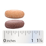 AM/PM Menopause Formula™ - 60 tablets By Nature's Way