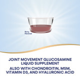 Joint Movement Glucosamine® - 16 fl oz (480 ml) / Berry By Nature's Way