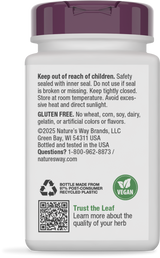 Ginkgo - 60 capsules By Nature's Way