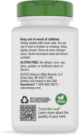 Dong Quai Root - 100 capsules By Nature's Way