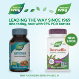 Boswellia Standardized Extract - 60 tablets By Nature's Way