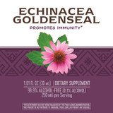 Echinacea Goldenseal Drops - 1 fl oz (30 ml) By Nature's Way