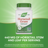 Horsetail Grass - 100 capsules By Nature's Way