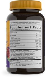 Alive!® Immune Gummy With Elderberry Extract - 90 gummies / Cherry & Grape By Nature's Way