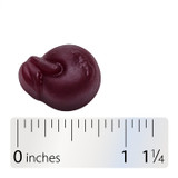 CranRx® Gummies - 50 gummies By Nature's Way